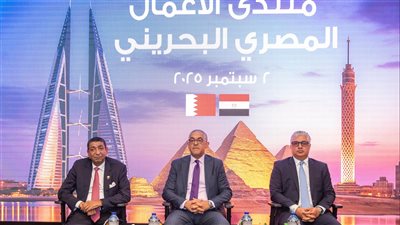 حسام هيبة :مصر تستهدف 12 مليار دولار استثمارات أجنبية مباشرة بنهاية 2025