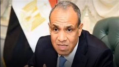 وزير الخارجية: بناء سد النهضة عمل غير شرعي