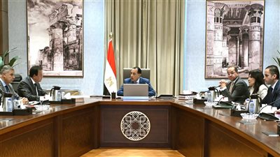 رئيس الوزراء: وسط البلد قلب القاهرة النابض.. ونعمل على إعادة رونقها التاريخي