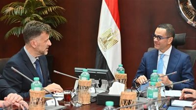 وزير الاستثمار يبحث فرص جذب استثمارات عالمية في صناعة السيارات بالإسماعيلية