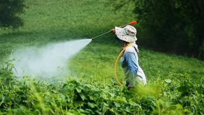 كفر الزيات للمبيدات والكيماويات توزع كوبون نقدي بقيمة 0.45 جنيه للسهم اعتبارًا من 30 سبتمبر