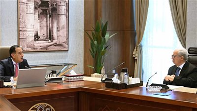 مدبولى: مؤشرات أداء الاقتصاد المصري تسير بصورة إيجابية