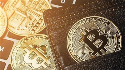 بيتكوين تهبط لأدنى مستوى في أسبوعين مع تراجع شهية المخاطرة