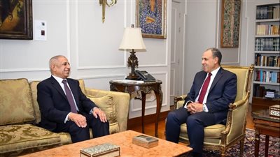 وزير الخارجية يلتقي رئيس الأكاديمية العربية للعلوم والتكنولوجيا والنقل البحري