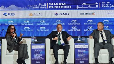 إيهاب المصري: نحتاج إلي إطار قانوني وتكنولوجي صارم لضمان تبادل آمن للمعلومات