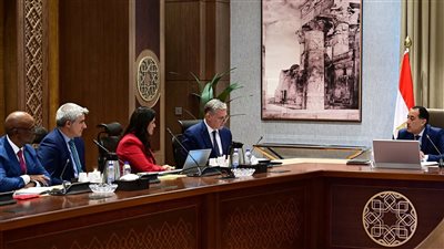 رئيس الوزراء يلتقي مسئولي شركة 