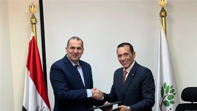 انطلاق مشروع ضخم لتوصيل الكهرباء بأراضي الريف المصري الجديد