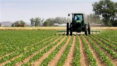 وادي كوم أمبو: مبيعات غرب الدلتا بـ380 ألف جنيه