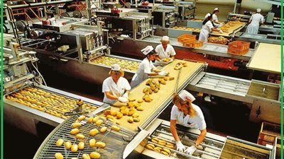 خسائر “أطلس للاستثمار والغذاء” ترتفع 518% خلال 9 أشهر بسبب تأخر مشروعات وعوامل موسمية