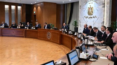 رئيس الوزراء يبحث مع رئيس «بوينج» الأمريكية تعزيز الشراكة