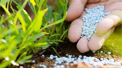 «الدولية للأسمدة» تقرر اقتناص حصة بـ 