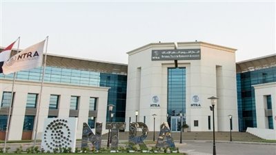 القومي للاتصالات :الهواتف محلية الصنع في مصر معفاة من الرسوم الجمركية