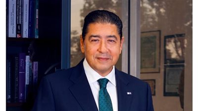 هشام عز العرب: التحول الرقمي في مصر لبائع النعناع