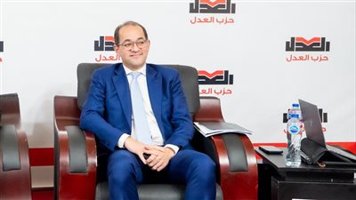 وزير المالية أحمد كجوك