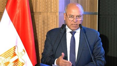 كامل الوزير: لا صحة لاحتراق سفينة مصرية في هرمز