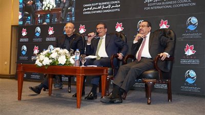 وزارة الزراعة: استراتيجيات مصر للأمن الغذائي تتصدر أولويات الدولة