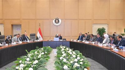 الاستثمار : دراسة آليات جذب صناديق المعاشات الكورية للبورصة المصرية وفتح مكاتب تمثيل لبنوك استثمارية كبرى