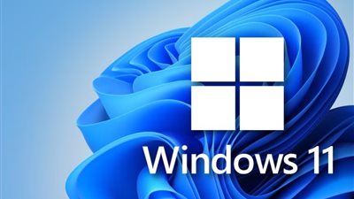 فرنسا تدرس التخلي عن ويندوز لصالح لينكس لتعزيز السيادة الرقمية