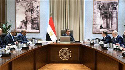 رئيس الوزراء يلتقي المدير العام لـ