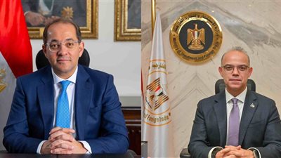 المالية والاستثمار المصرية تؤكدان استمرار العمل بالموانئ والمنافذ الجمركية على مدار الأسبوع