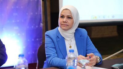 رشا عبد العال، رئيس مصلحة الضرائب المصرية
