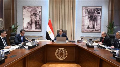 مصنع «فارما زاد جروب» يُصدر 30% من الإنتاج ومستهدف 50% خلال عام 2026/2027