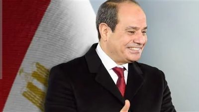 السيسي ونظيره الفنلندي يعززان الشراكة.. توافق على توسيع التعاون الاقتصادي ومناقشة أزمات المنطقة