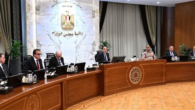 الحكومة تقر عفو رئاسي بمناسبة عيد الأضحى.. وتدعم الإسعاف والتحول الرقمي وتؤسس شركة بحرية لقناة السويس