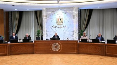 قرارات موسعة لمجلس الوزراء تشمل النقابات العمالية والتعدين والطاقة والسياحة وصناعة السيارات