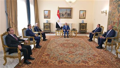 الرئيس السيسي يستعرض الشراكة الاستراتيجية مع 