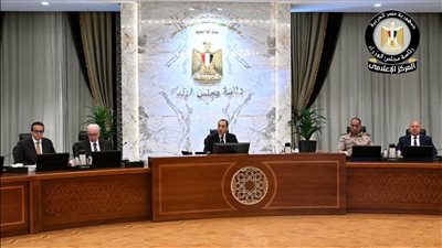 رئيس الوزراء: 19 مليار دولار استثمارات مرتقبة تعزز إنتاج الطاقة في مصر