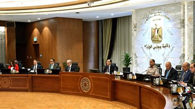 مدبولي: توفير السلع الأساسية وطرح كميات كبيرة من اللحوم استعدادًا لعيد الأضحى