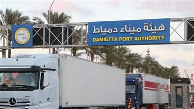 نشاط متزايد لخط الرورو بميناء دمياط يعزز حركة الترانزيت إلى الخليج