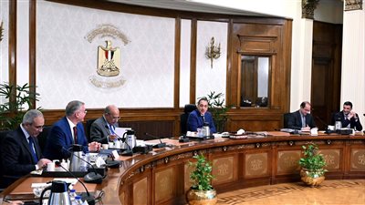 مدبولي يوجه بسرعة الانتهاء من التصور النهائي لمبادرة الطاقة الشمسية بالمصانع 