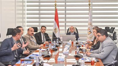 وزير الاستثمار يبحث مع “كلود تشين” الصينية إنشاء أول مدينة ن    