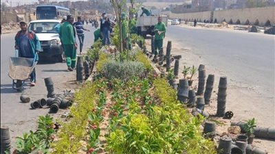 وزيرة التنمية المحلية والبيئة تعلن الانتهاء من تنفيذ المرحلة الرابعة من المبادرة الرئاسية 