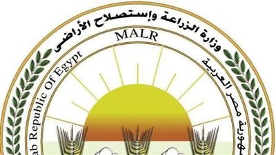 الزراعة :  صرف أكثر من مليون شيكارة لمزارعي المحاصيل الصيفية حتى الآن