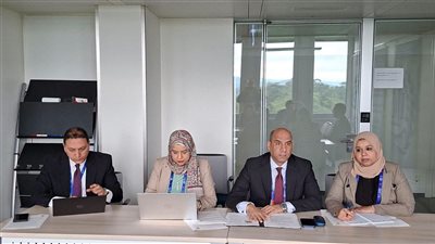 اتفاق مصري دولي لتكثيف التعاون الفني وتنفيذ مشروعات تنموية مشتركة مستقبلًا
