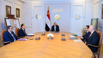 السيسي يوجه بتسريع ميكنة 