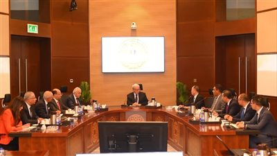 نائب رئيس الوزراء يبحث مع شركة صينية كبرى توسعات صناعية للإطارات في مصر باستثمارات 550 مليون دولار