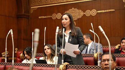حنان وجدي: ضرورة حوكمة رقمية وضبط احتساب الاستثمارات والالتزام بالاستحقاق الدستوري للتعليم والصحة