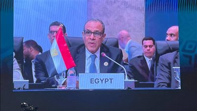 وزير الخارجية: مصر تطرح رؤية شاملة لتعزيز التنمية والشراكة الأفريقية الكورية
