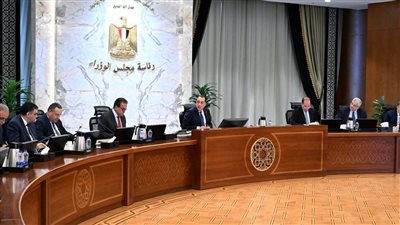 مدبولي: متابعة مستمرة لمخزون الأدوية وانتظام سداد مستحقات الشركات لضمان توافر العلاج