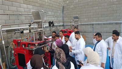 التعليم العالي: طفرة بالجامعات التكنولوجية وتوسع بالشراكات الدولية خلال العام الدراسي