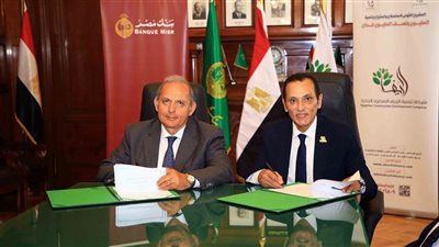 الريف المصري الجديد