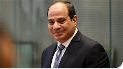 السيسي يؤكد دعم مصر الكامل لترشيح نبيل فهمي لأمانة الجامعة العربية