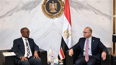 مصر وجنوب أفريقيا تبحثان تعزيز التكامل الاقتصادي والتصنيع المشترك بالقارة