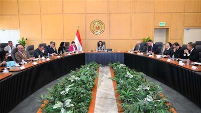 التضامن تطلق خطوات تنفيذ مبادرة 