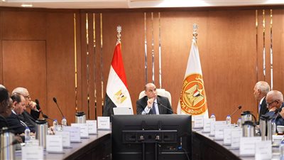 صندوق الطوارئ يدعم 441 ألف عامل بـ2.5 مليار جنيه