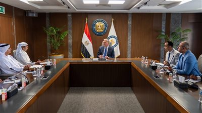 البترول وإينوك تبحثان التوسع بالاستثمارات المشتركة في مصر